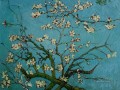 van gogh branch of an almond tree in blossom